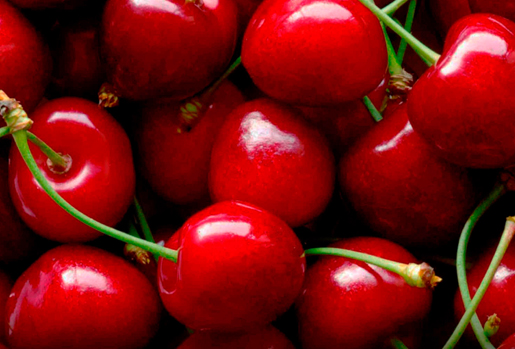 exportadora-triofrut-productos-cerezas