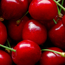 exportadora-triofrut-homme-2