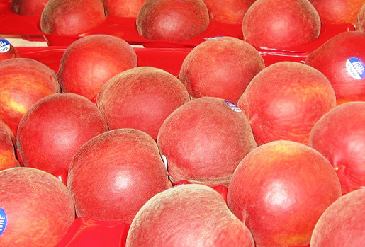 exportadora-triofrut-productos-duraznos