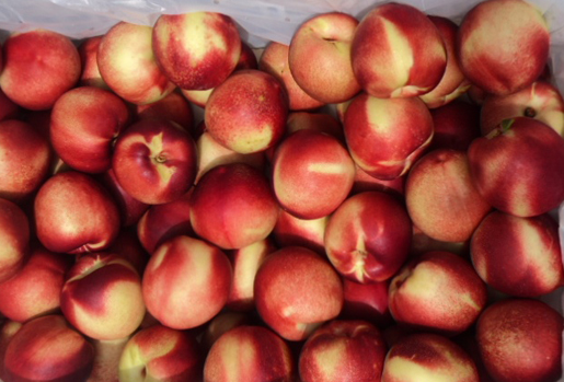 exportadora-triofrut-productos-nectarines-white-flesh